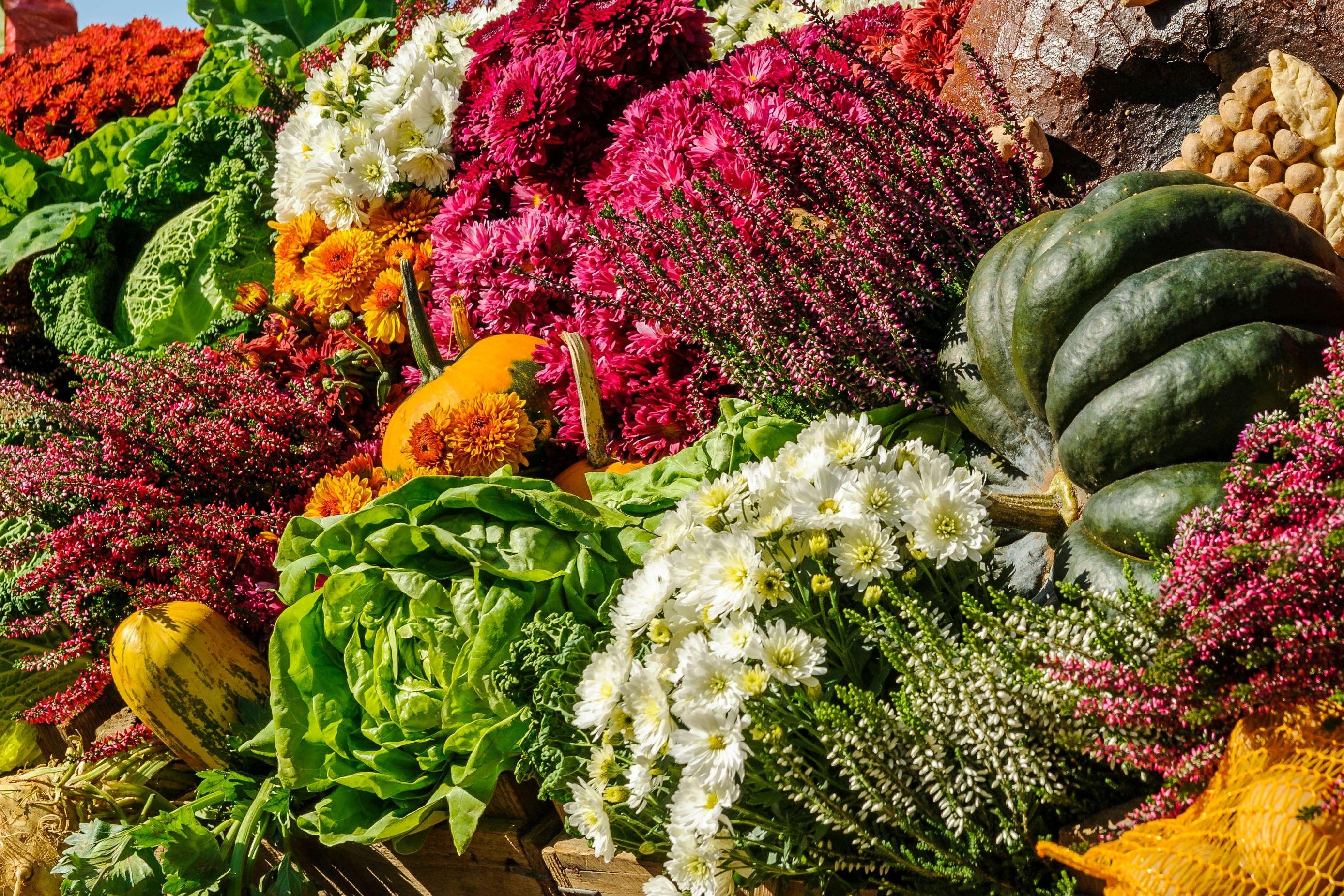 assorted vegetable and flower lot